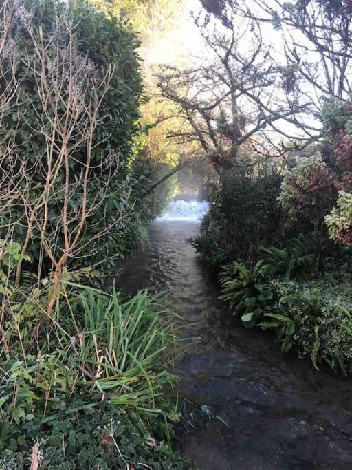 Eco-Friendly Dorset Cottage With Spa Set In Heart Of Countryside Sydling St Nicholas Exterior foto